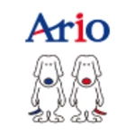 ario android application logo